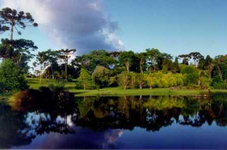 Bosques do Município de Pinhão